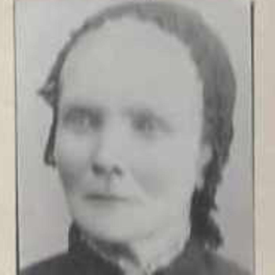 Anna Hak Bosch (1820 - 1895) Profile